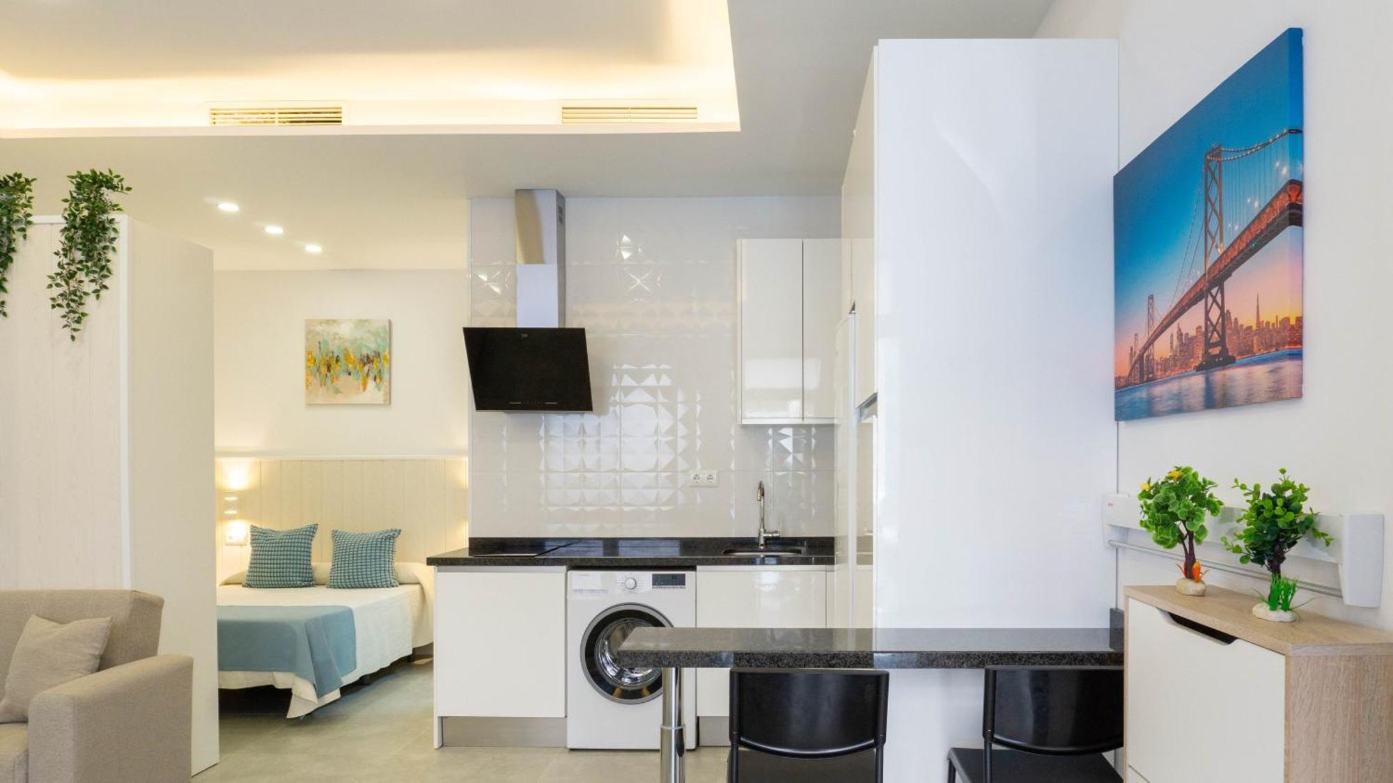 Lejlighed Modern Mendoza Loft